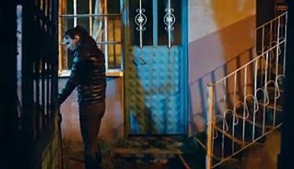 مسلسل وادي الذئاب 10 مترجم الحلقة 47