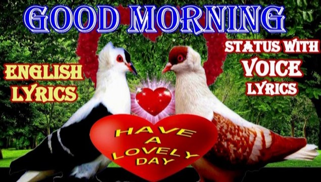 good morning wishes video with voice lyrics | good morning status | Good morning whatsapp status | lovely good morning | good morning quotes lyrics