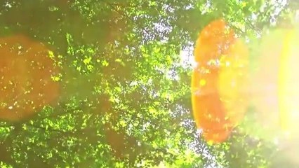 Cumhurbaşkanı Erdoğan'dan Dünya Çevre Günü paylaşımı