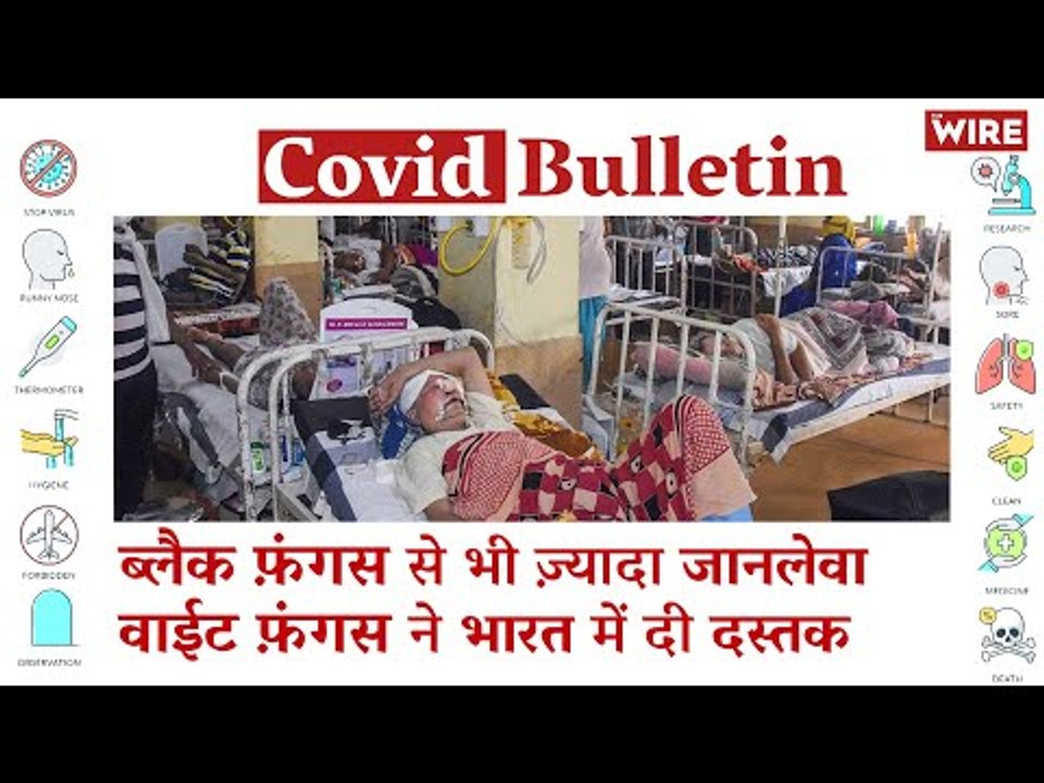 After Mucormycosis, White Fungus Makes Its Way to India | Covid-19 Updates | Coronavirus