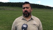 KARS - KuzeyDoğa Derneği Bilim Koordinatörü Çoban'dan Sarıçam ormanları için 'ekosistem restorasyonu' önerisi