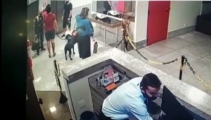 Vídeo: policial briga com vizinho por cão sem focinheira, em Águas Claras