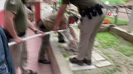 Bahçede yaralı halde bulunan doğan koruma altına alındı