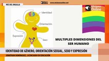 Identidad de género, orientación sexual, sexo y expresión
