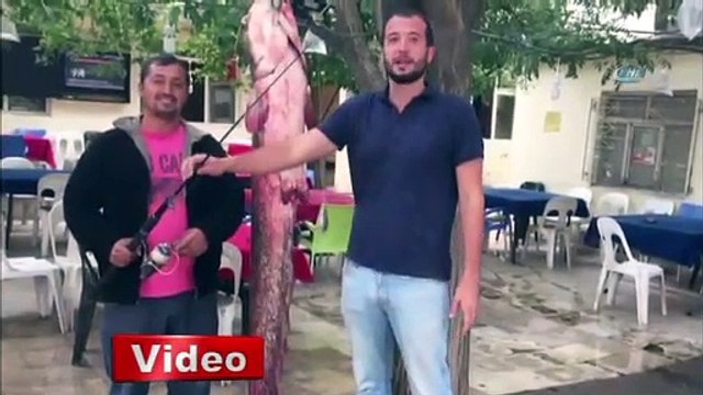 Olta ile 2 metrelik balık yakaladılar!