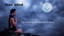 Beautiful Relaxing & Meditation Music for Stress Relief | Yoga Meditation | Birds Sounds