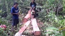 How Easy Is It To Build A Bamboo House ,Diy Project In The Philippines With Windmill Generator