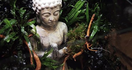 How To Make Your Own Lost World Nano Tank - Step By Step Tutorial