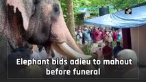 Elephant bids farewell to mahout before funeral