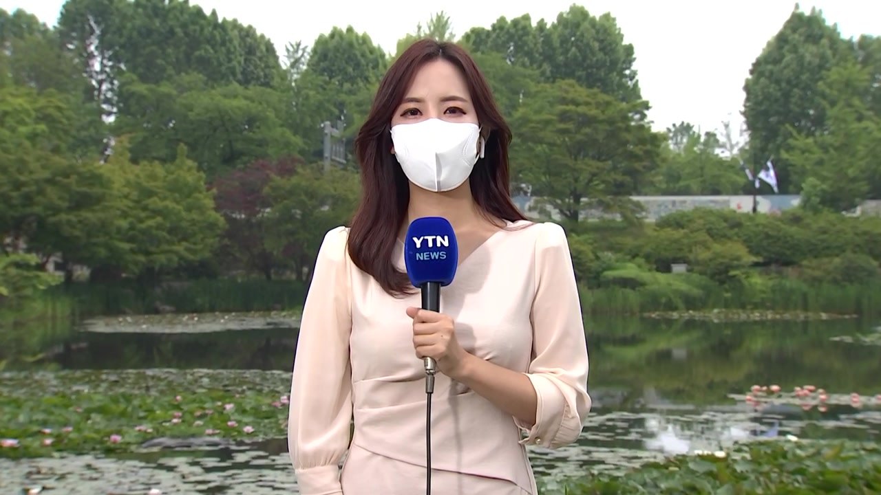 [날씨] 현충일 낮 더위 계속, 충청 이남 요란한 소나기 / YTN