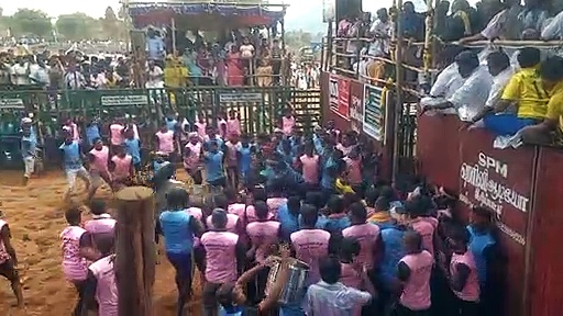 ஜல்லி கட்டு