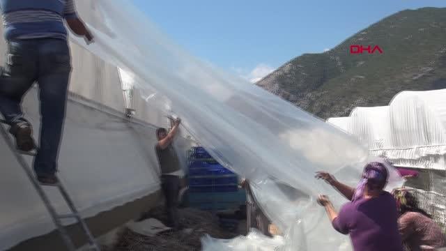 Son dakika haberleri! ANTALYA'DA SERALARA ZARAR VEREN HORTUM KAMERADA