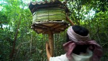 Build The Most Beautiful Bamboo House With Around Swimming Pool For Rescued Wild Monkey