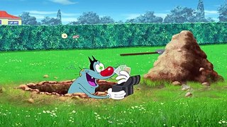हिंदी Oggy and the Cockroaches - CAVIAR ON THE HOUSE_ (S04E50) - Hindi Cartoons for Kids(240P)