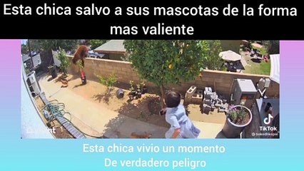 Chica salva a sus perros del ataque de una osa