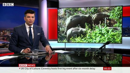 The herd of elephants causing a stir in China