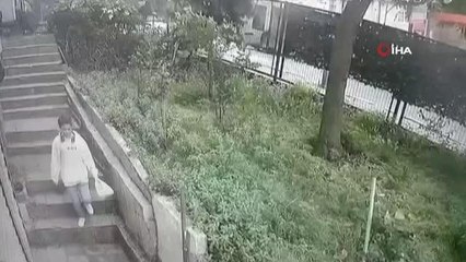 Cumhurbaşkanına hakaretten suç kaydı olan kadın, hırsızlıktan yakalandı