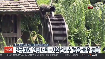 [날씨] 현충일 초여름 더위…저녁까지 충청·남부 소나기