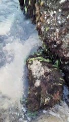 Belle plage rectangulaire. Explorons ensemble !