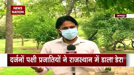 Various extinct species of birds seen in Jaipur, watch report
