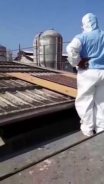 Ces ouvriers découvrent quelque chose d'incroyable en désamiantant un toit