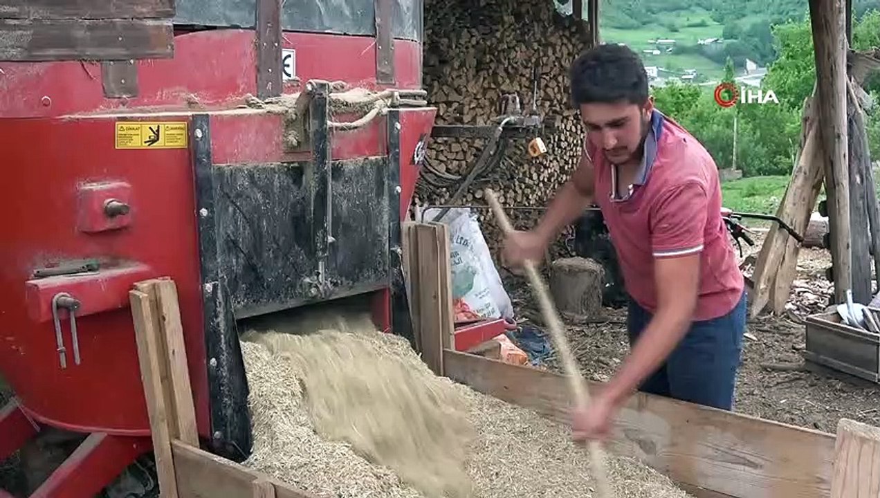 Yaklaşan Kurban Bayramı öncesi Artvinli besiciler dertli