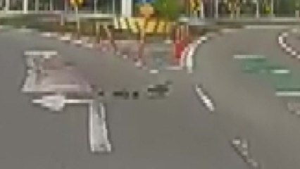 [영상] 도로 위를 '뒤뚱뒤뚱'...오리가족의 겁 없는 나들이 / YTN