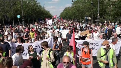 Демонстрация против китайского университета