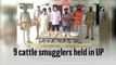 9 cattle smugglers held in Uttar Pradesh