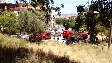 Spil Dağı’nda çıkan yangın korkuttu