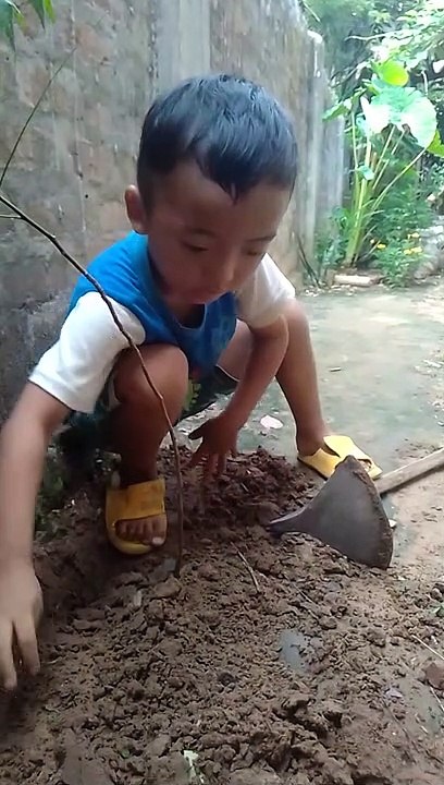 planting