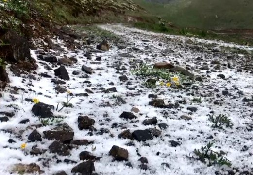 Artvin'in dağları Haziran ayında yeniden beyaza büründü