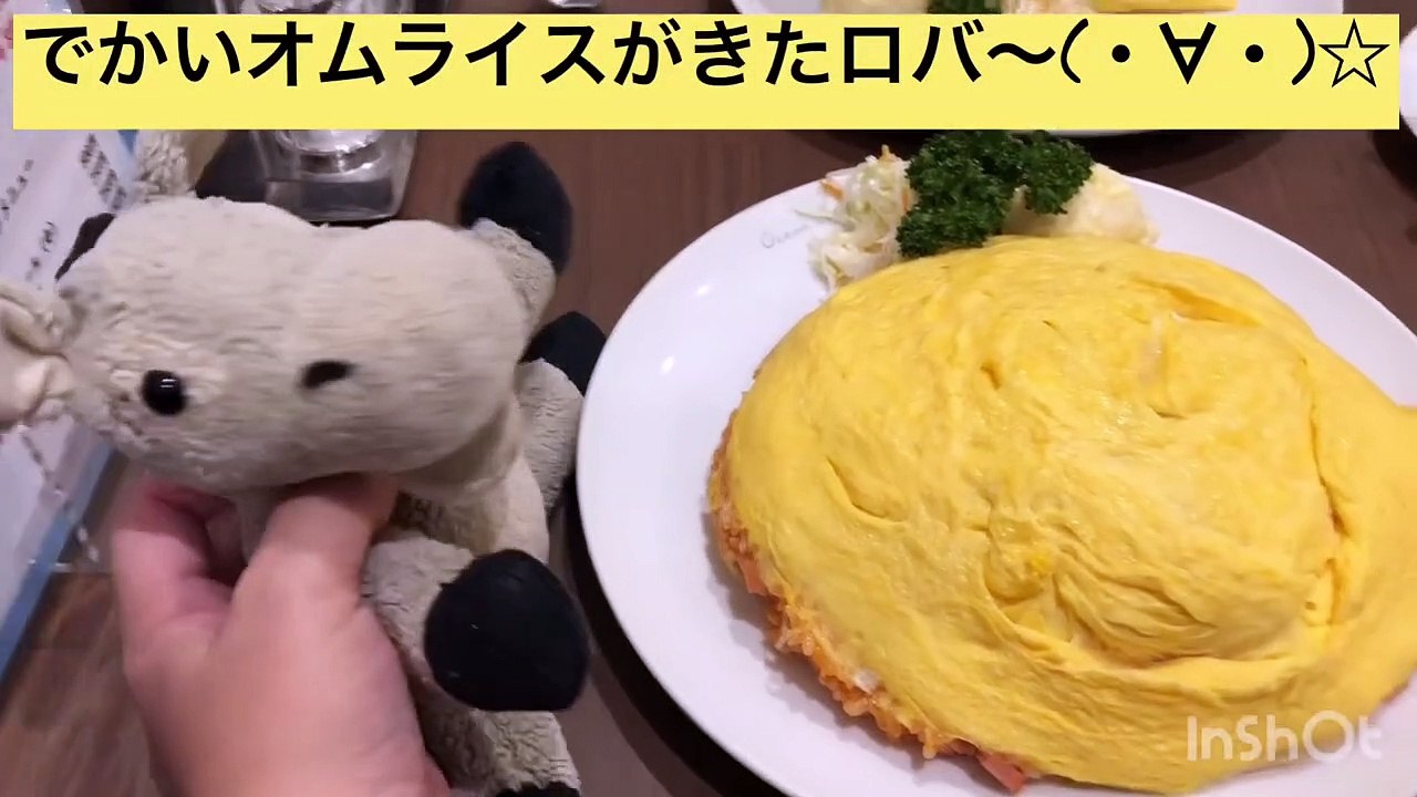 【大阪港・オーションビュー】まくら「僕の顔をおたべ(　˙-˙　)」