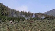 Denizli'deki orman yangınında 5 dönüm alan zarar gördü
