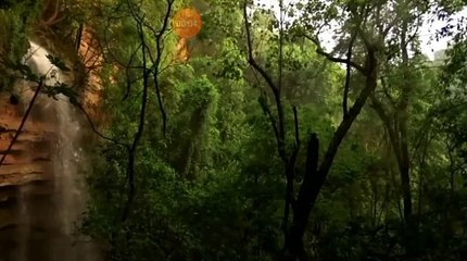 تلاوة أحاديث شريفة ذكر فيها طلب المغفرة من الله