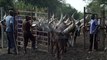 Uganda - Rhinos | ಉಗಾಂಡಾದಲ್ಲಿ ಖಡ್ಗಮೃಗಗಳ ಸಂತತಿ ಅಭಿವೃದ್ಧಿ ಪಡಿಸಲು ಹೊಸ ಪ್ರಯತ್ನ | Going Wild EP 12