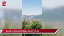 Elazığ-Diyarbakır arasında orman yangını 3 gündür kontrol altına alınamadı