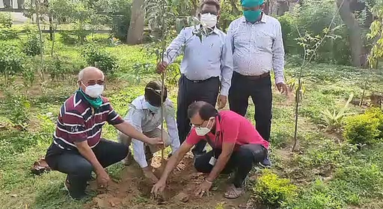 कोविड ड्यूटी में शहीद कार्मिकों की याद में एक लाख पेड़ लगाने का संकल्प