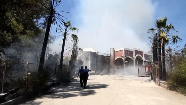 Son dakika haberleri... İki noktada çıkan orman yangınlarına müdahale ediliyor