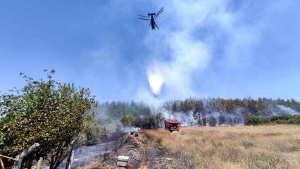 Arıcı hem kendini hem de ormanı yaktı