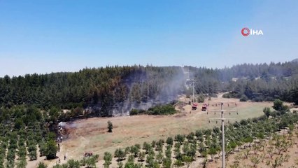 Arıcı hem kendini, hem de ormanı yaktı