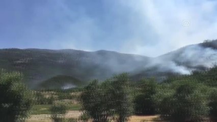 Son dakika haberi! Orman yangınına müdahale ediliyor