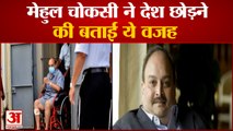 PNB Scam: भारतीय अधिकारियों को मेहुल चोकसी का ऑफर, कहा-सवाल पूछें | Mehul Choksi In Dominica court