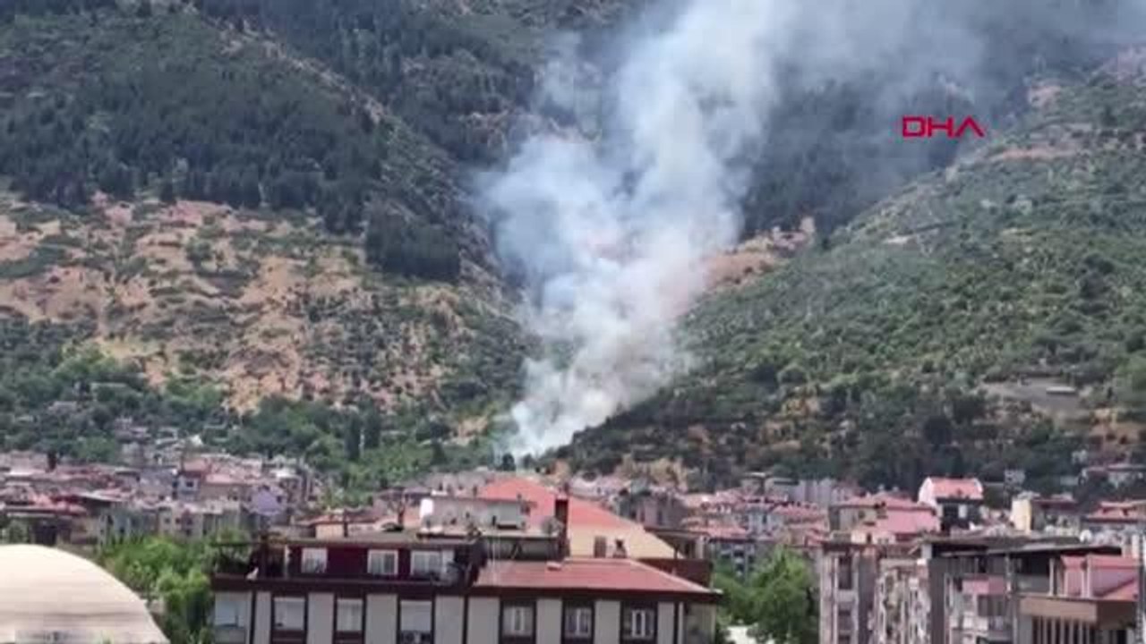 Son dakika haber... MANİSA TURGUTLU'DA ORMAN YANGINI