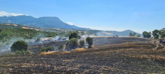 OSMANİYE'DE 400 DÖNÜM EKİLİ ALAN YANDI