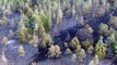 Drone footage shows damage after wildlfire rips through Northumberland woodland