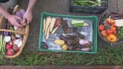 El Basque Culinary Center se pone manos a la obra en la huerta