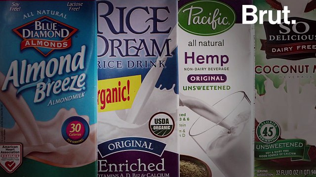 L'impact environnemental des laits végétaux