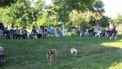 Son dakika haberi | Samsun'a şehit ateşi düştü