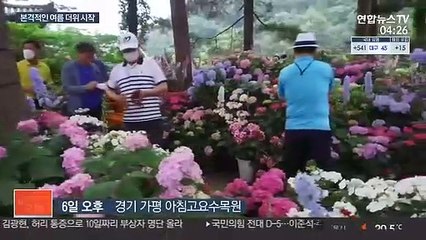 햇볕 '쨍쨍' 본격 여름…당분간 30도 안팎 더위